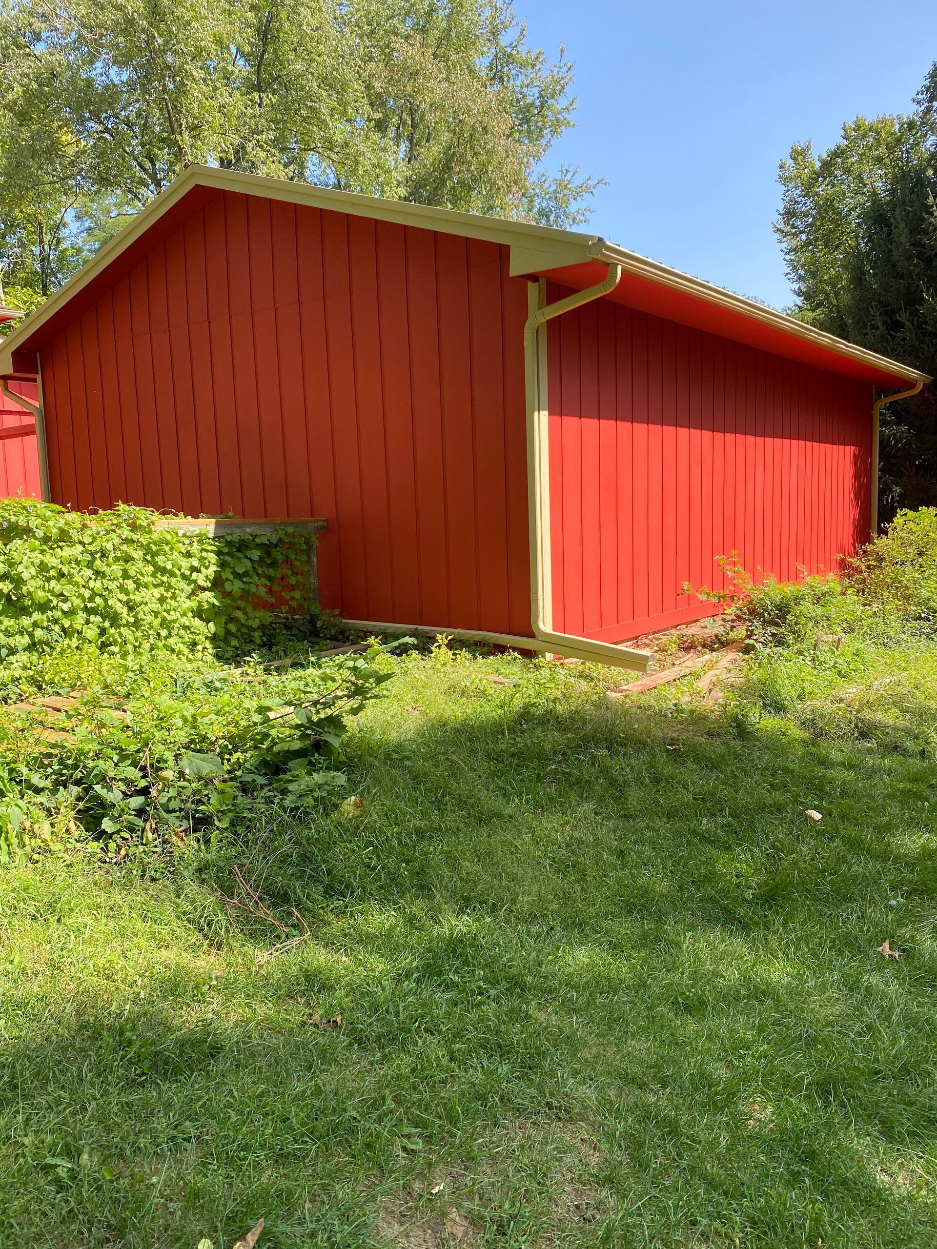 A red barn is sitting in the middle of a lush green field.