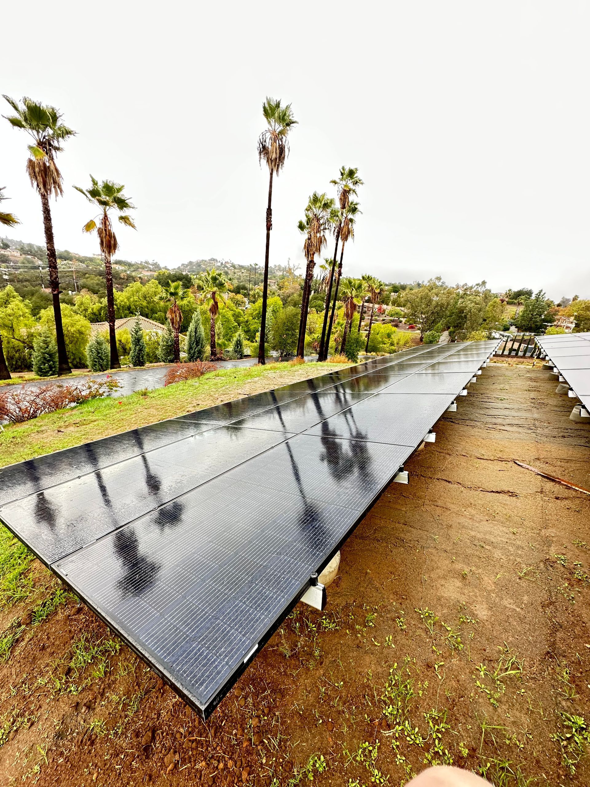 A row of solar panels sitting on top of a dirt field with palm trees in the background.