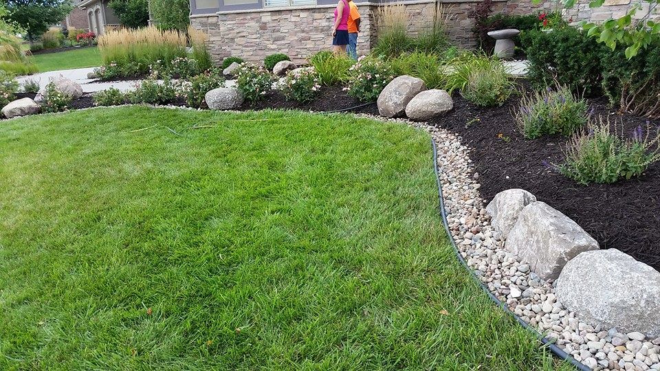 A woman is standing in the middle of a lush green lawn.