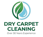 Dry Carpet Cleaning