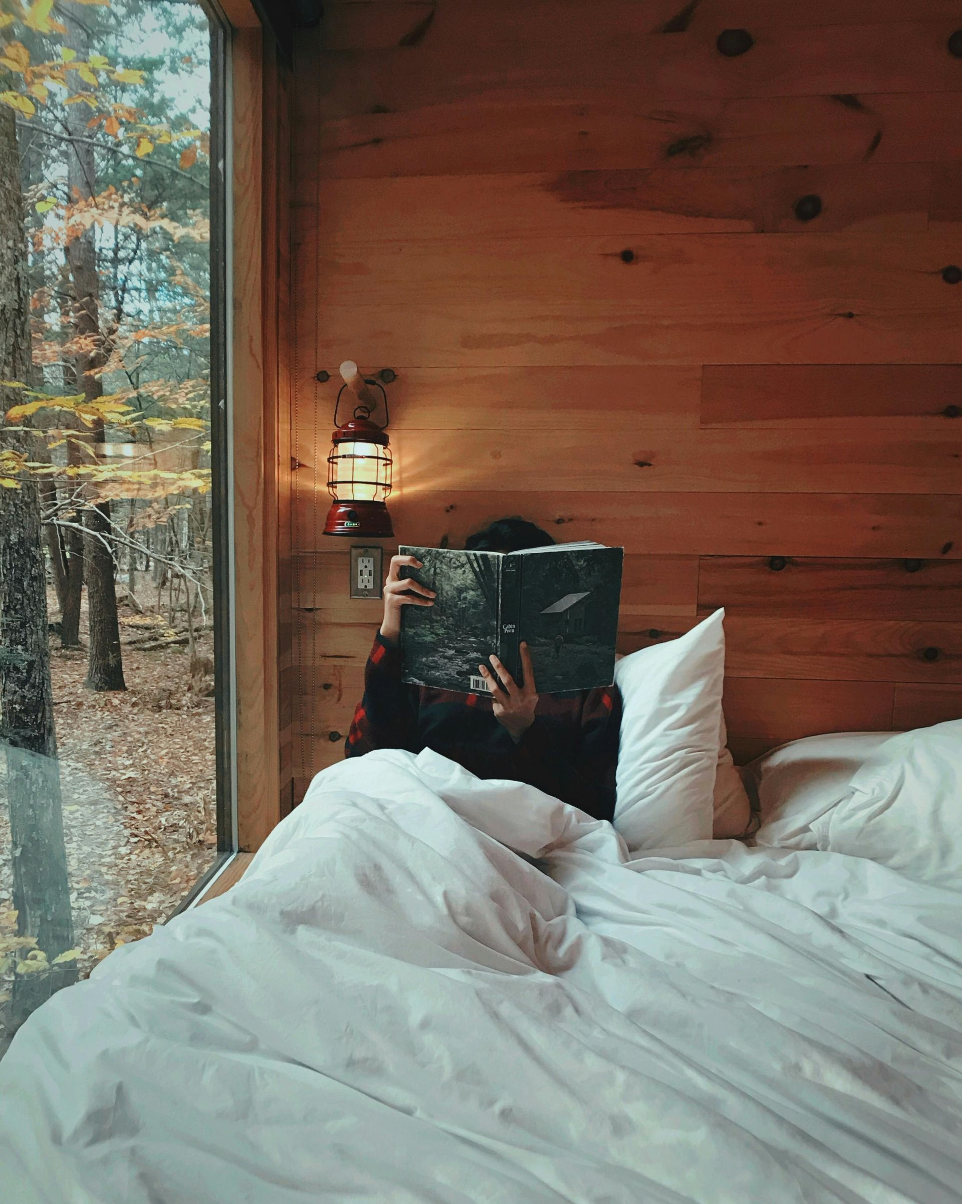 Person reading in bed by a large window overlooking fall trees; cozy cabin interior.