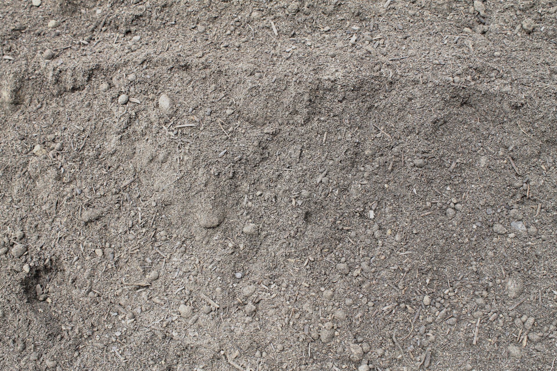 Pile of gray, grainy sand or soil, with small pebbles visible.
