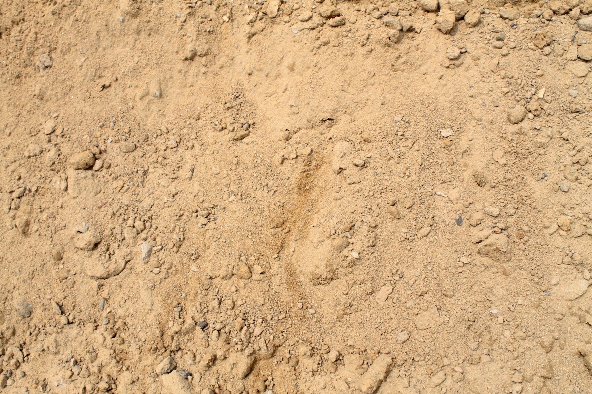 Close-up of light brown dirt with small rocks and a footstep imprint.
