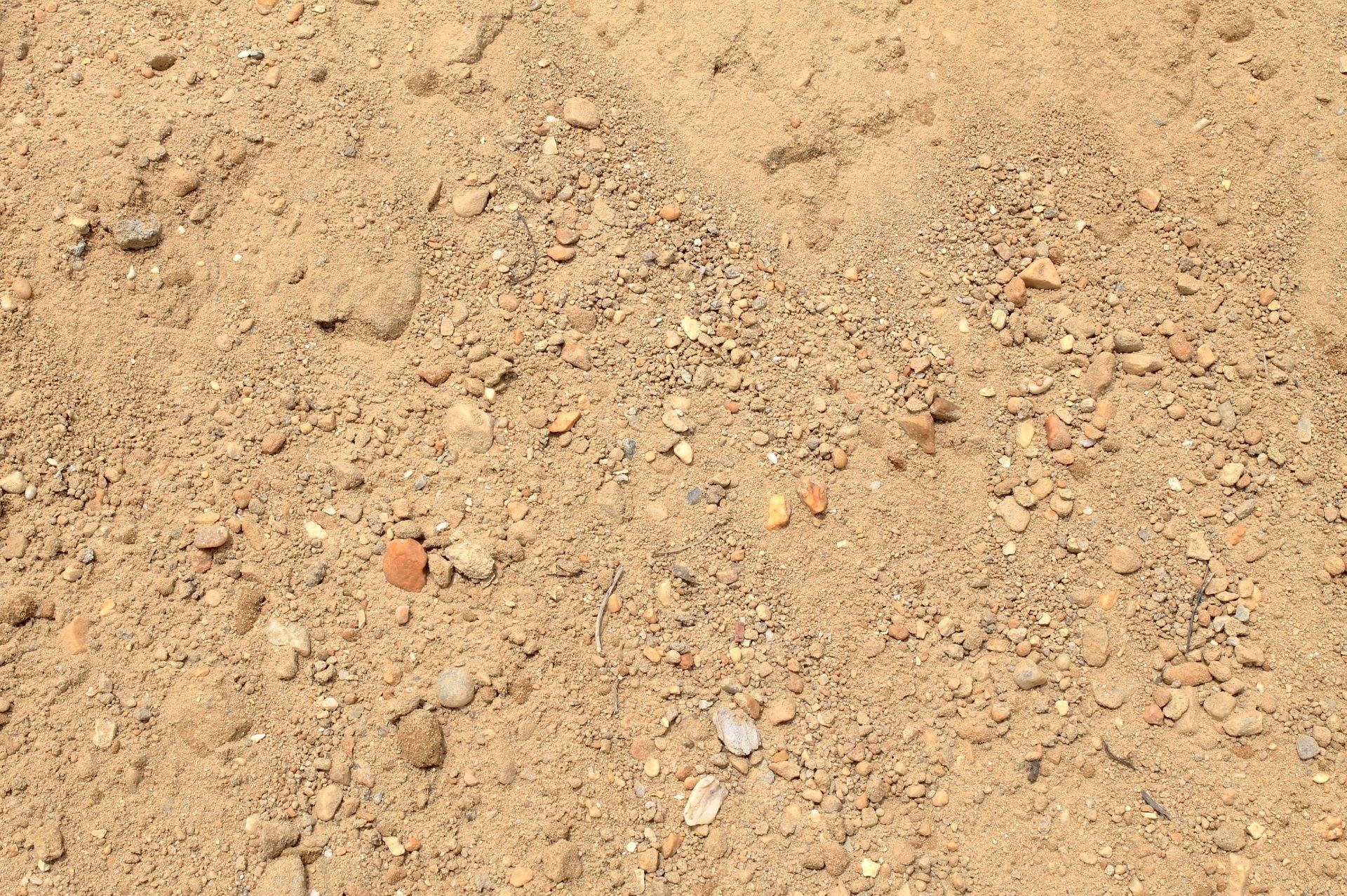 Tan dirt with small rocks and pebbles scattered throughout.