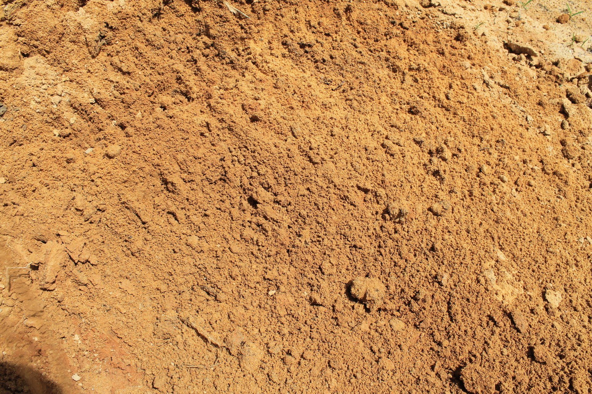 Close-up of a pile of brown sand with small holes and a rough texture.