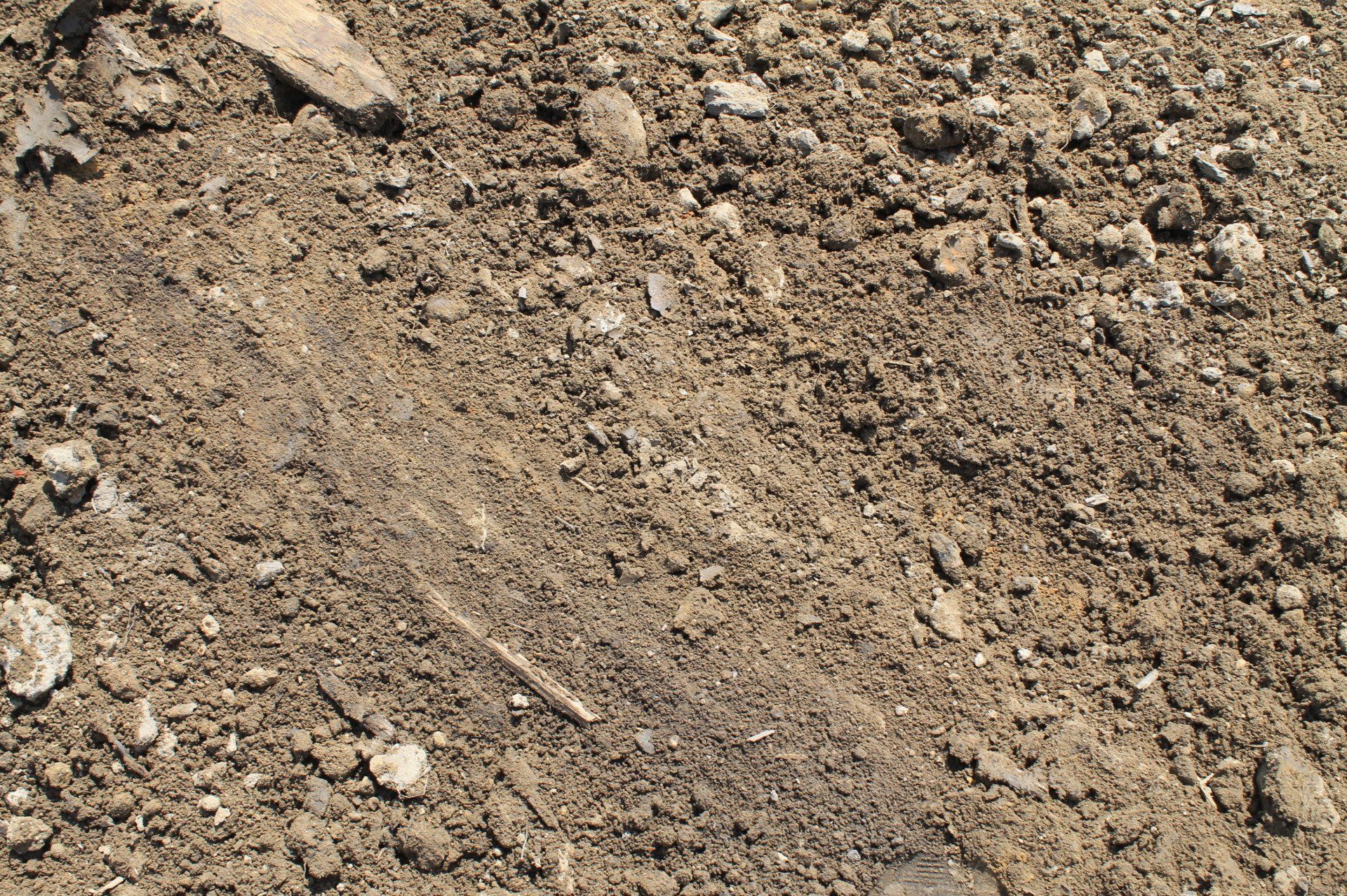 Close-up of brown soil with small rocks and a slight indent.