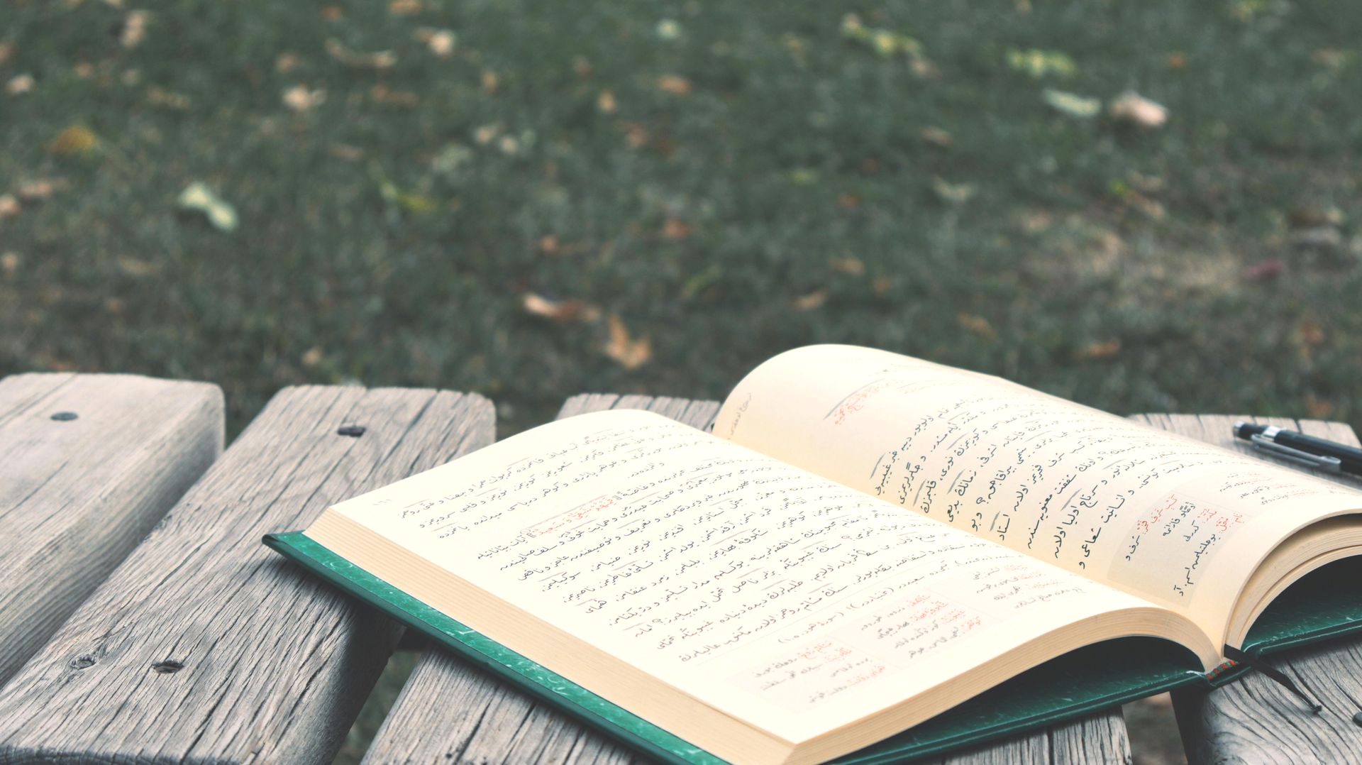 pagine