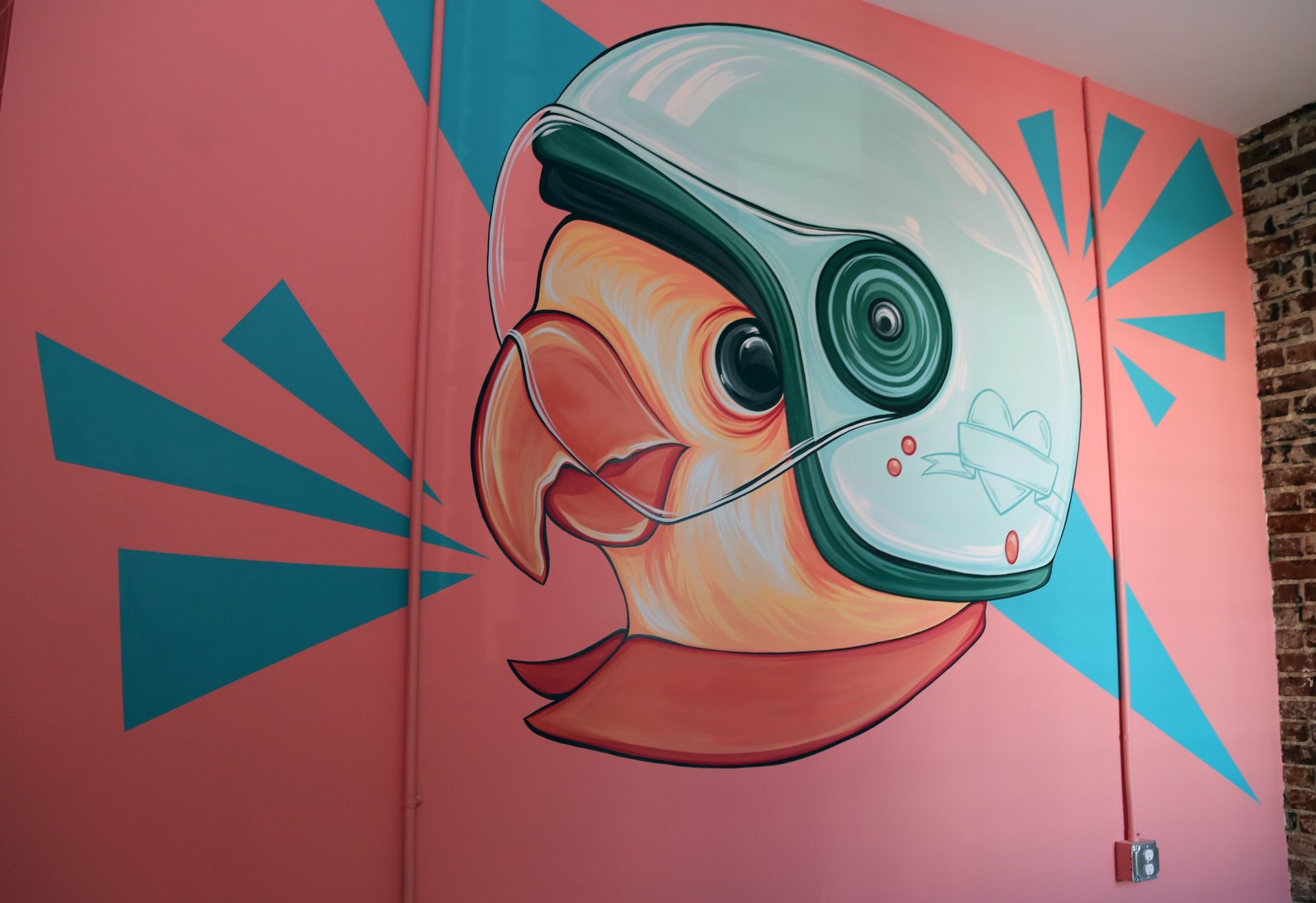 Colorful mural of a parrot wearing a helmet on a pink wall with teal geometric accents