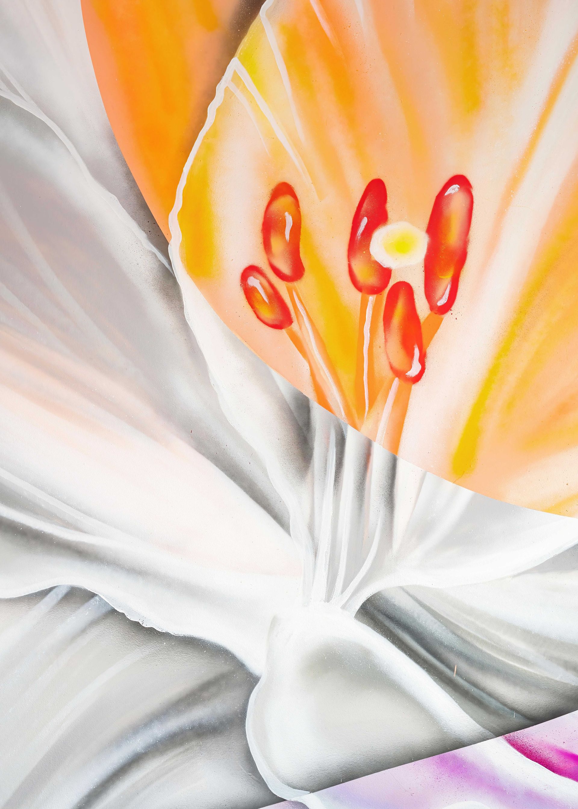 Close-up of a white and orange flower with red stamens and a hint of pink at the edge