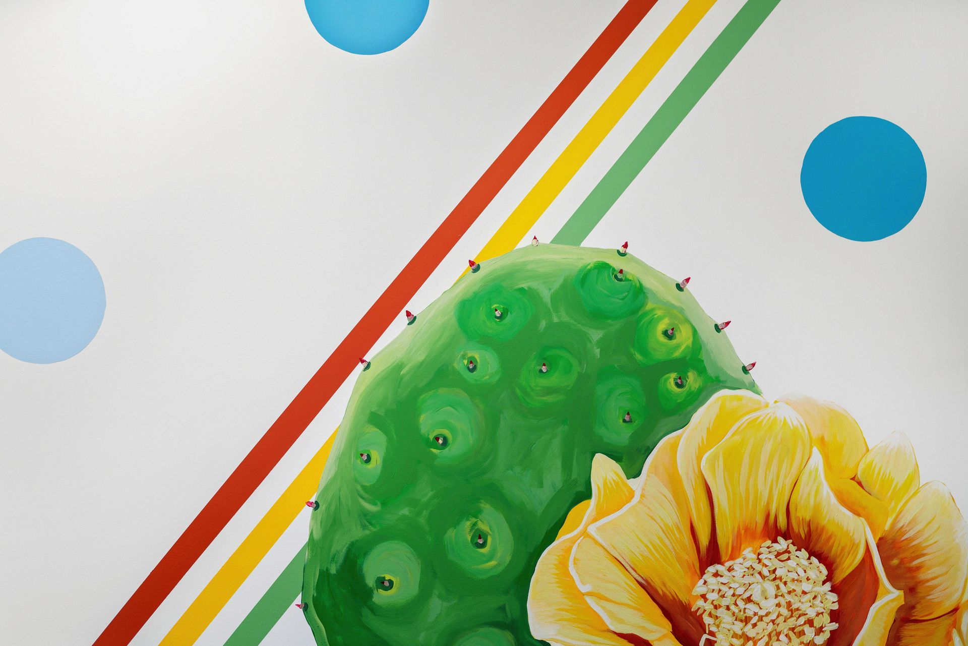 Green cactus and yellow flower on a white background with diagonal red, yellow, and green stripes and blue dots