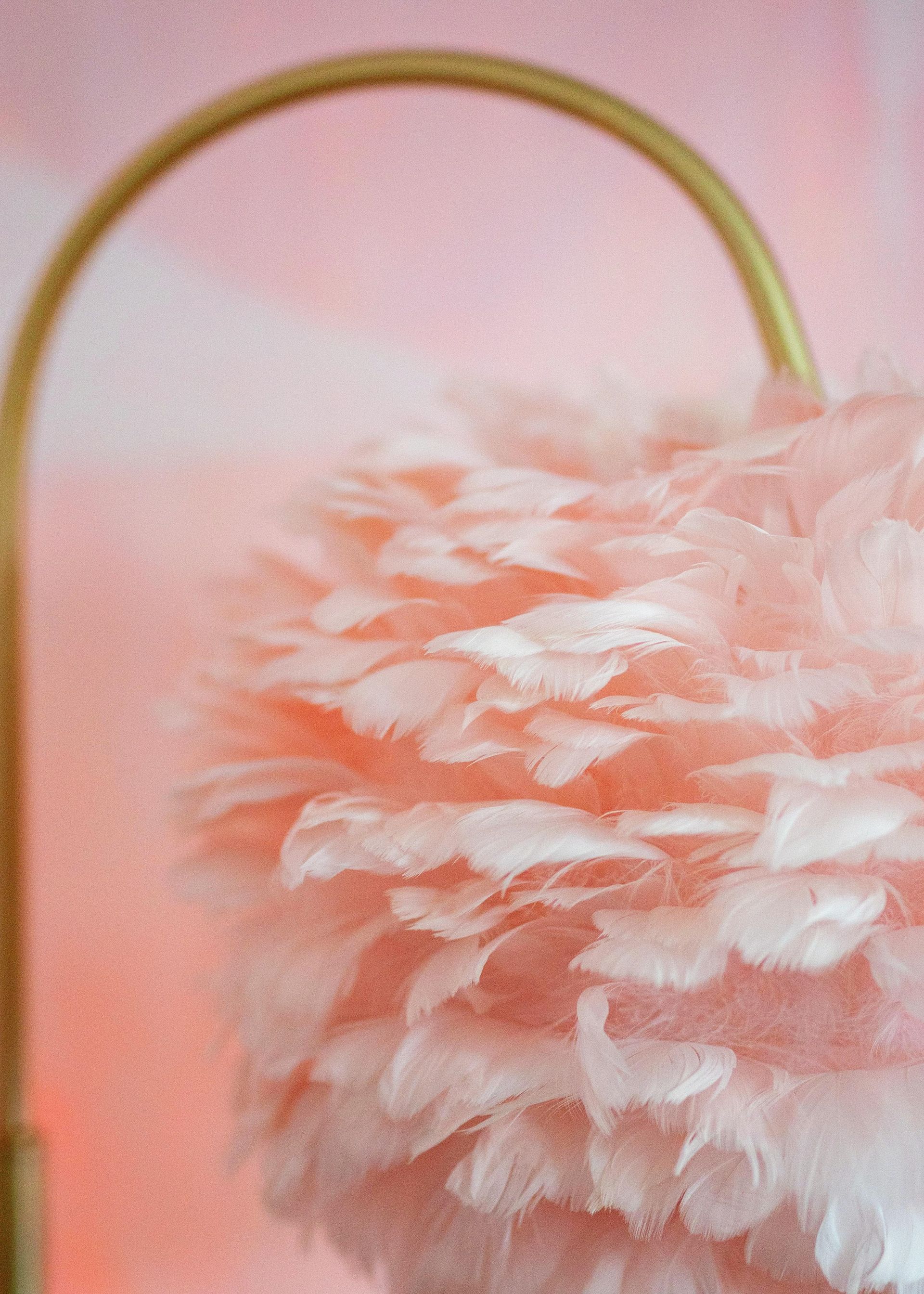 Pink feathered handbag with a gold handle on a soft pink background