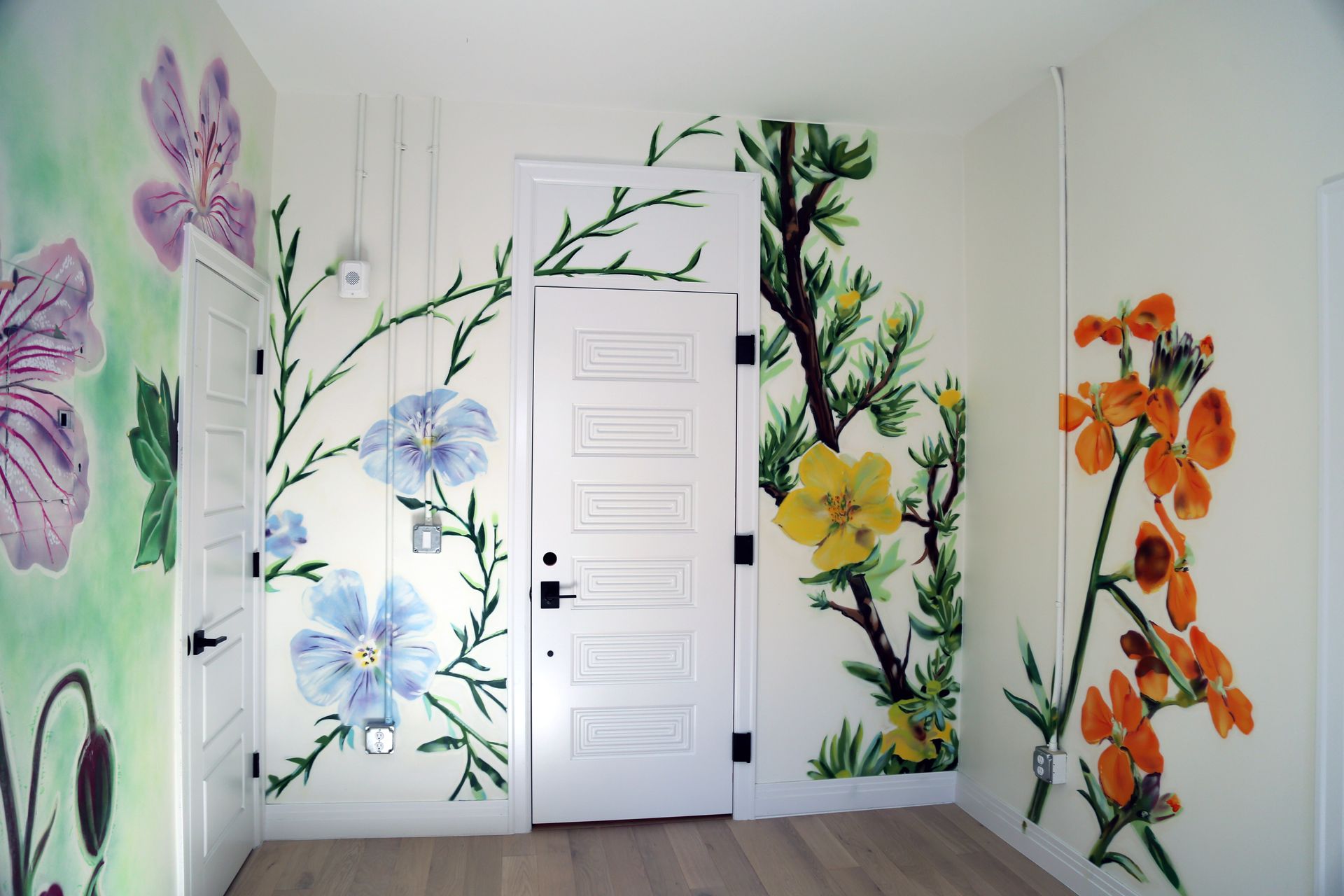 White room with colorful floral murals painted around a central door