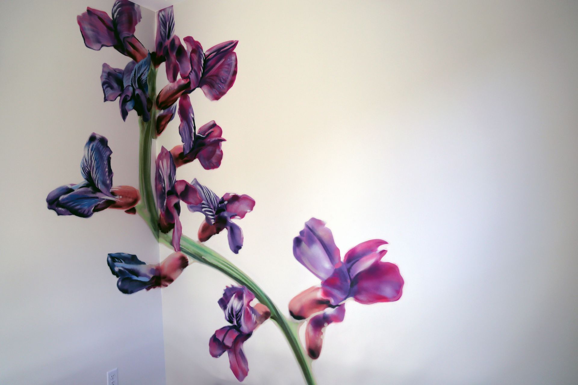Purple and pink orchids on a green stem against a light background