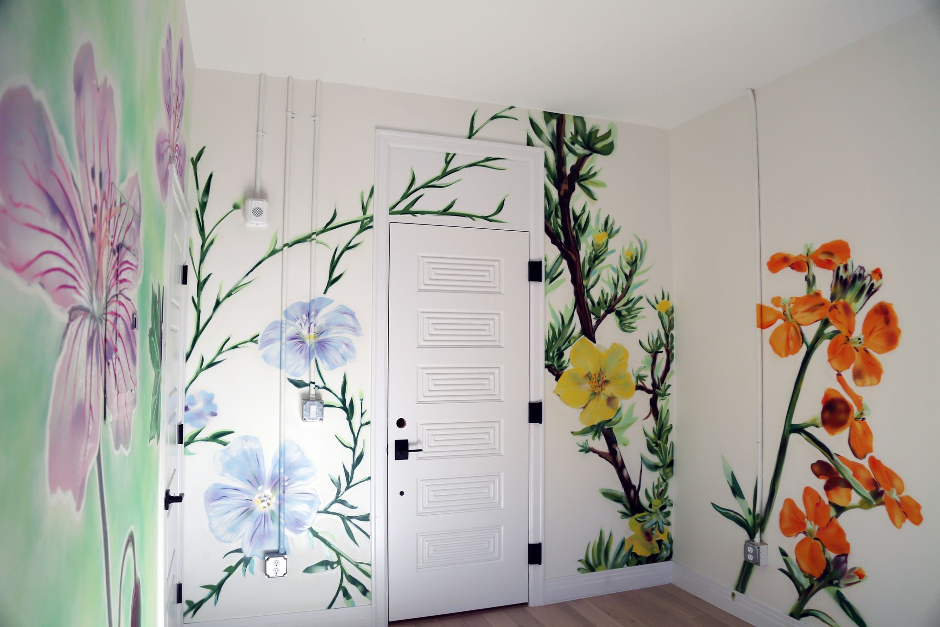 Colorful floral mural-painted walls around a white door in a bright room