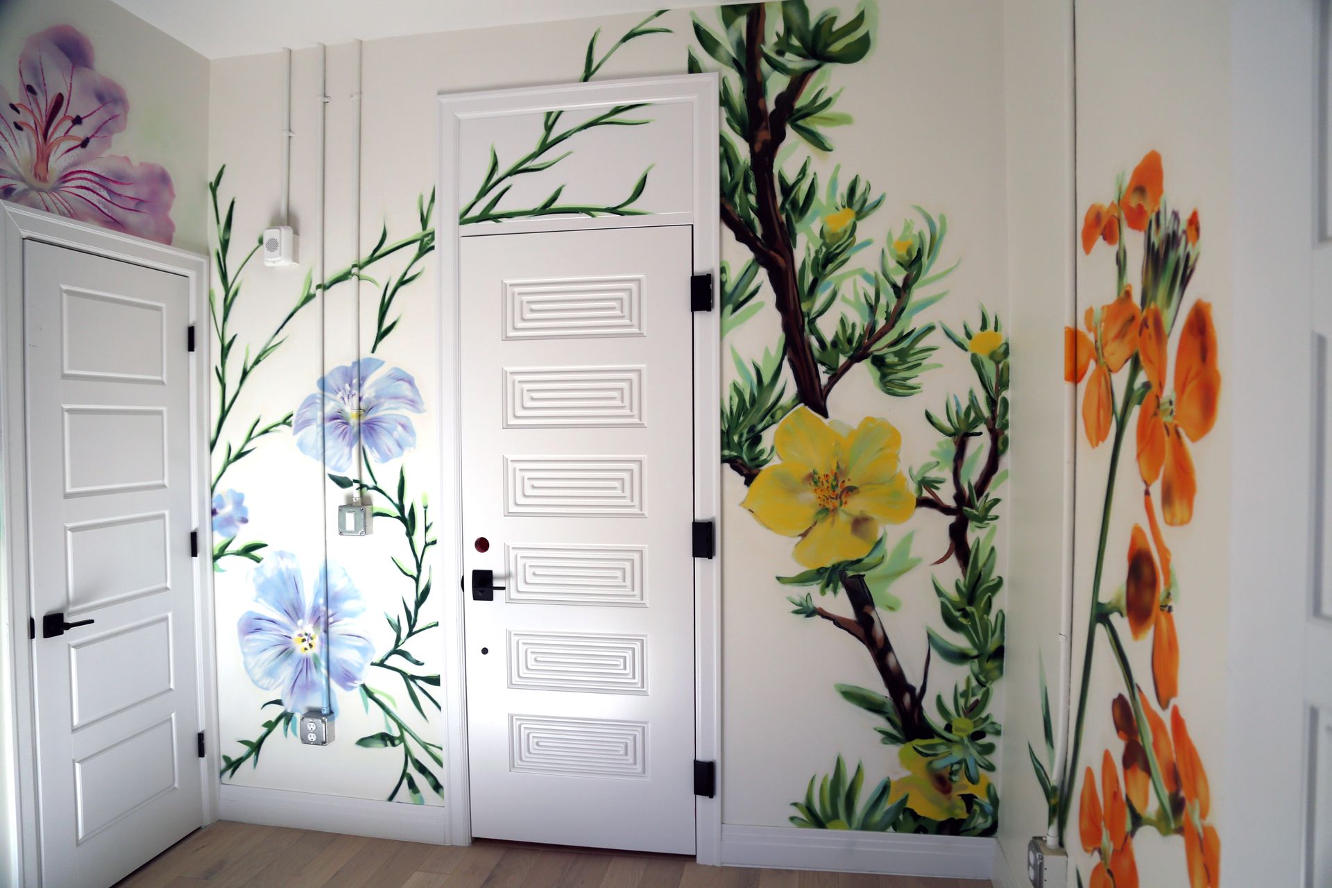 Colorful floral murals painted on white room walls around a white door with tall panels.
