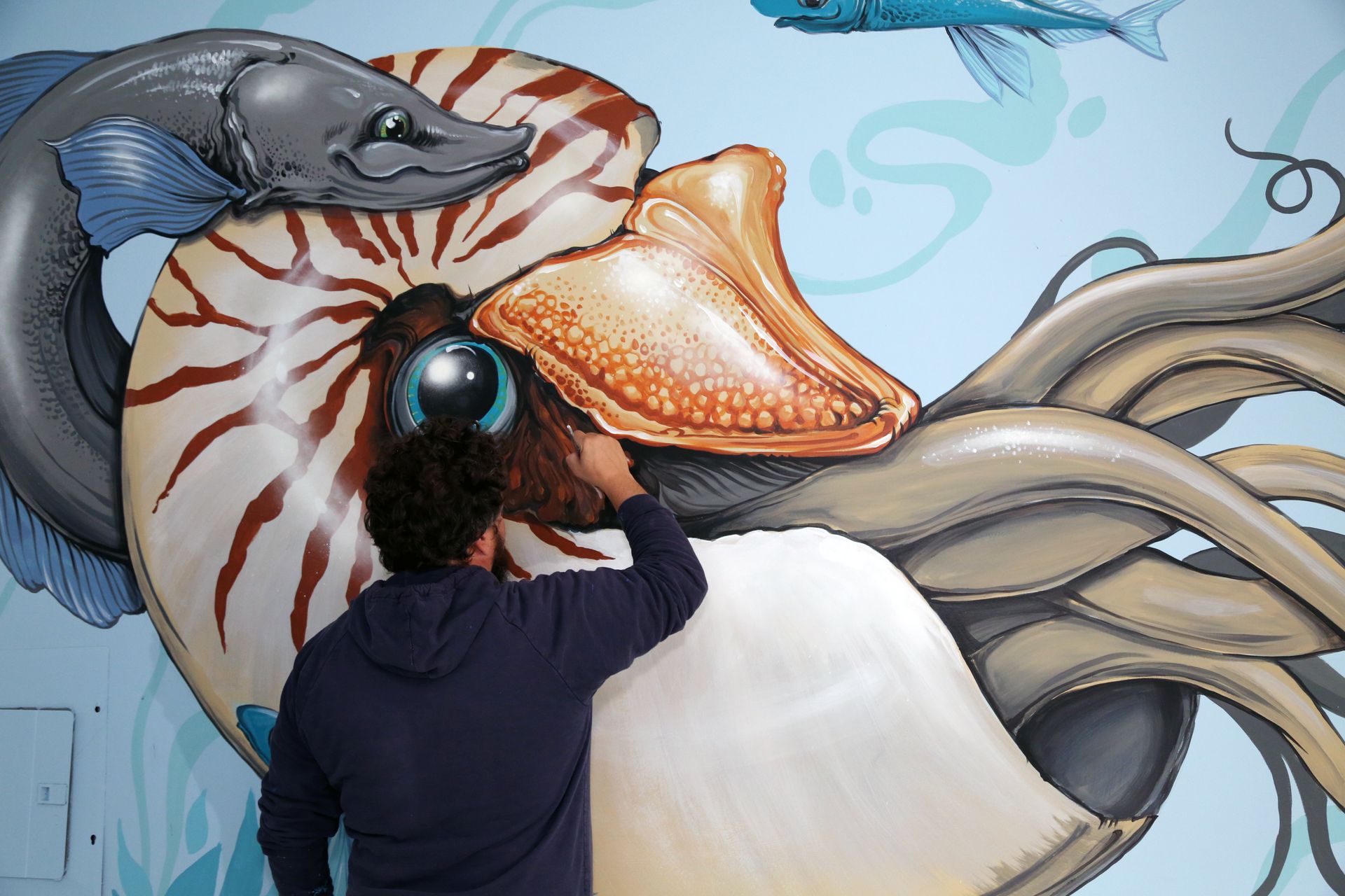 Person painting a large colorful mural of a nautilus and octopus tentacles on a wall