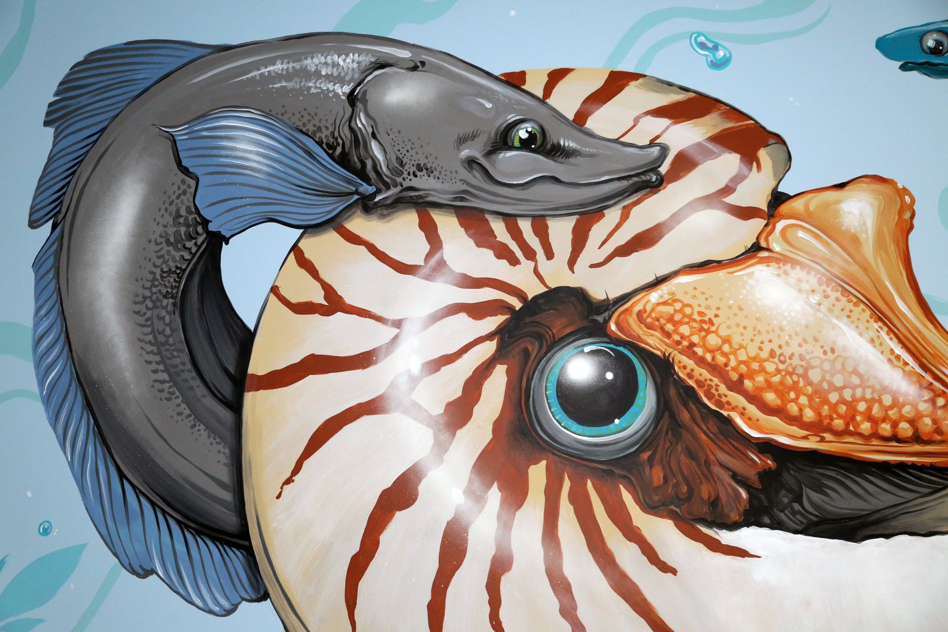 Close-up of a nautilus shell with a blue-gray fish and an orange seahorse-like creature intertwined