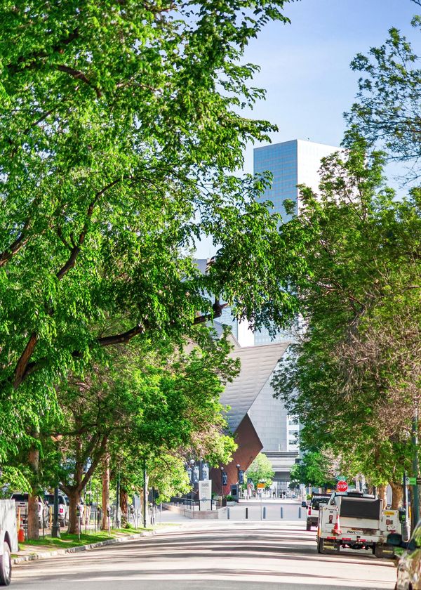 Tree-lined street leading to a modern skyscraper and triangular building, with parked cars on both sides.