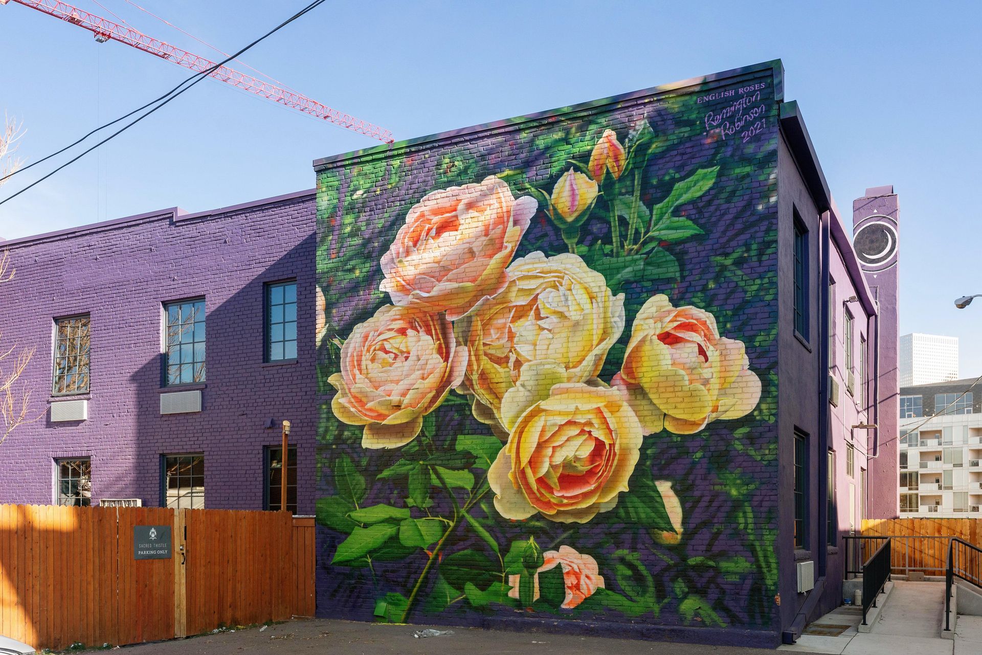 Mural of large peach roses on a dark green wall beside a purple brick building and wooden fence