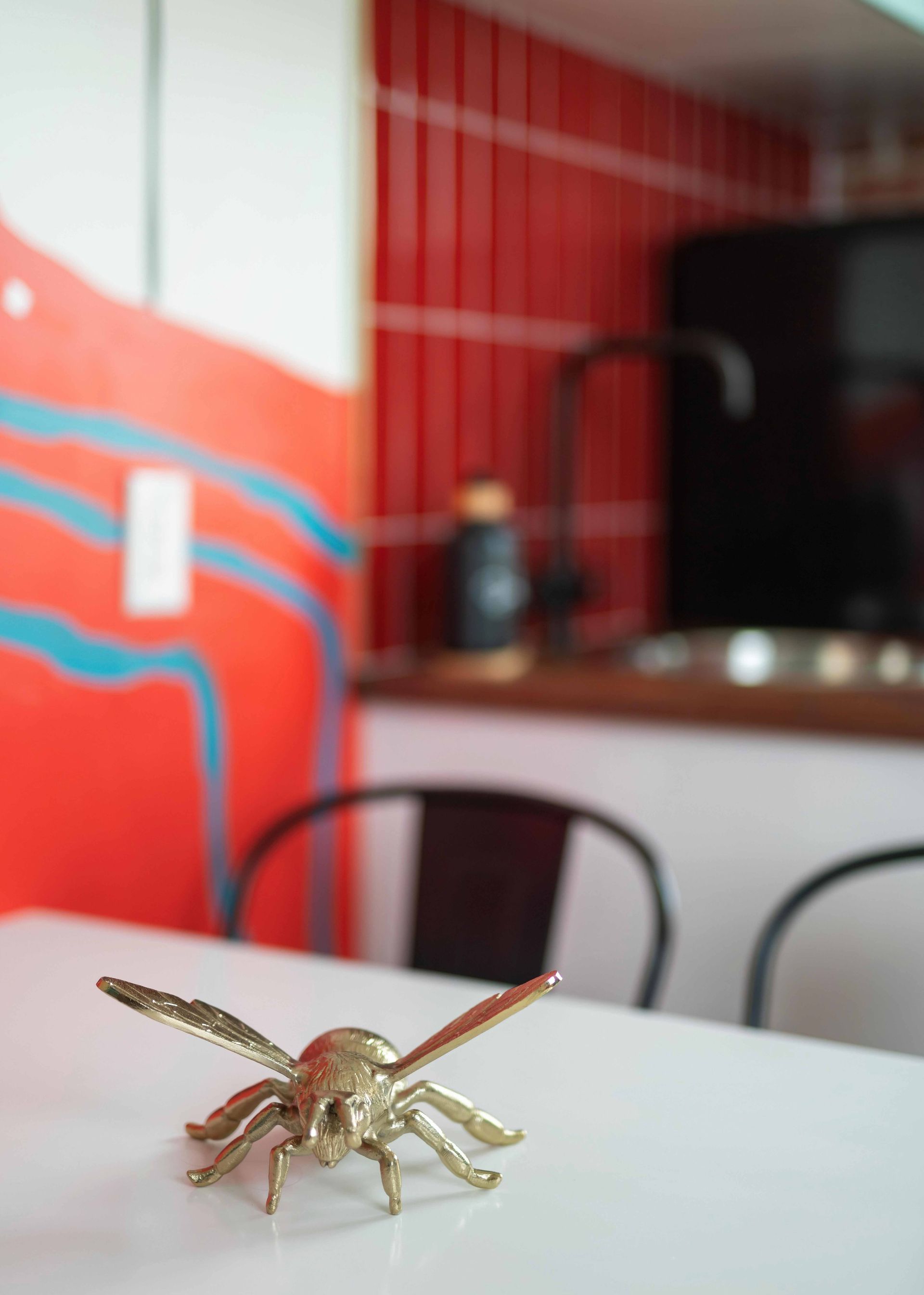 Small beetle on a white table in a red-walled room with a counter in the background