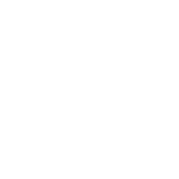 Blank white image.