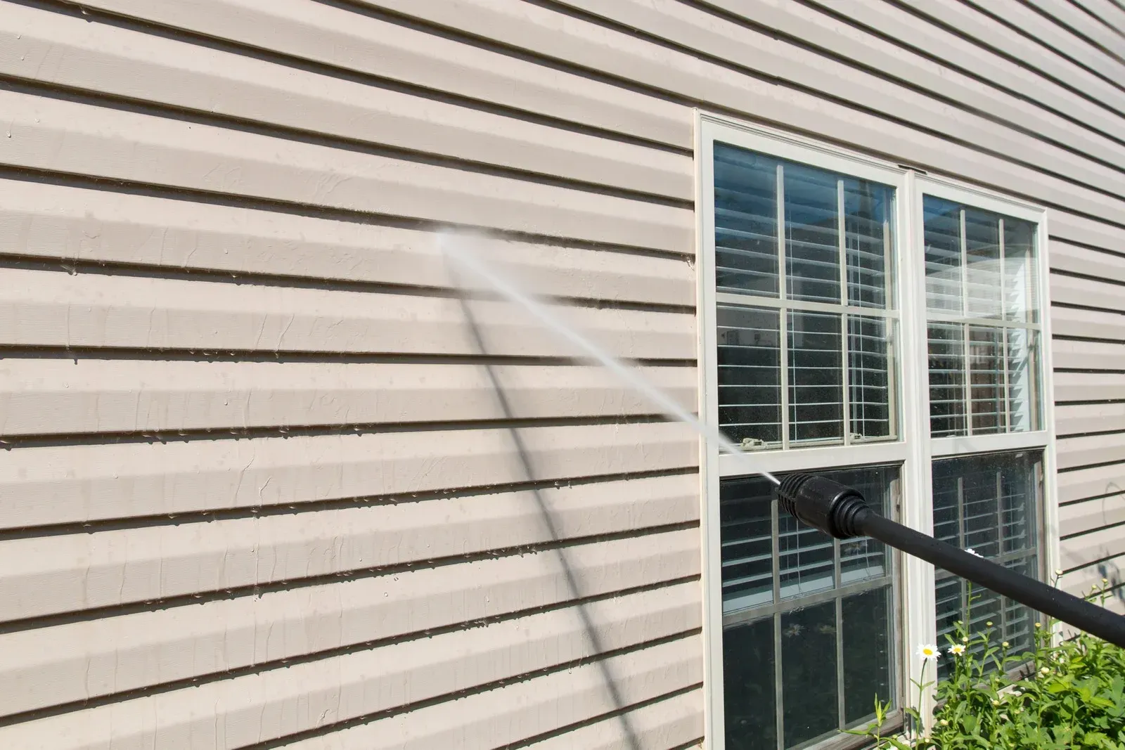 Water spraying onto beige house siding beside a window from a black hose.