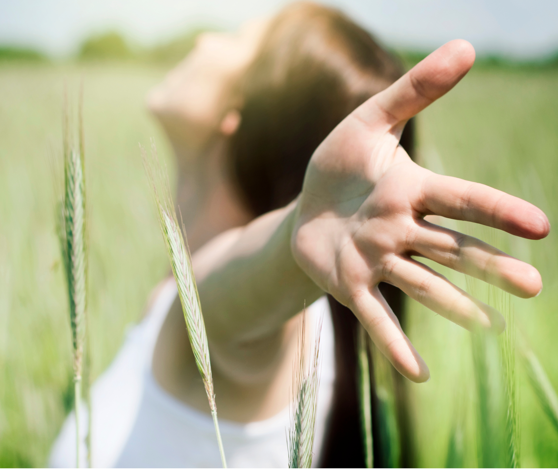 Outstretched hand reaching through tall natural green grass in bright sunlight