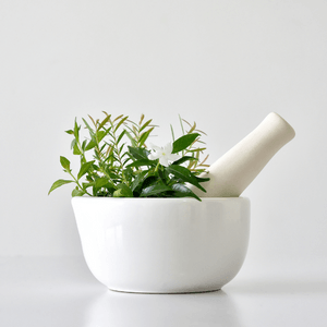 White mortar and pestle filled with green herbs on a white background