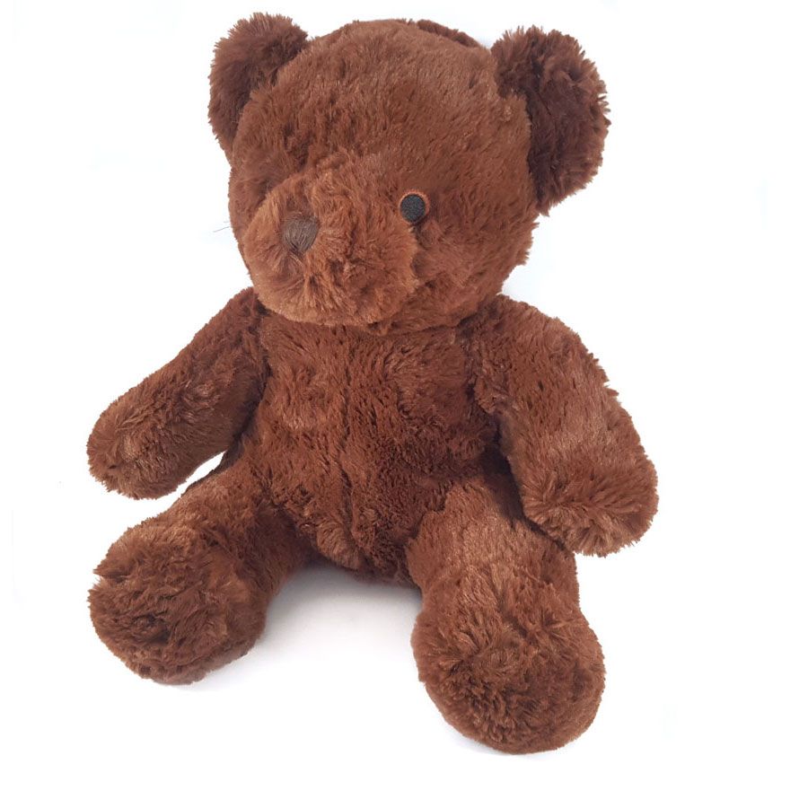 Een bruine teddybeer zit op een witte achtergrond