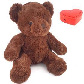 Een bruine teddybeer zit op een witte achtergrond