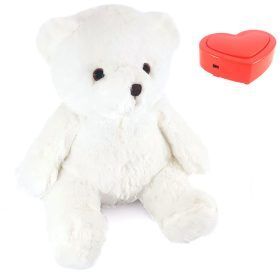 Een witte teddybeer zit op een wit oppervlak.
