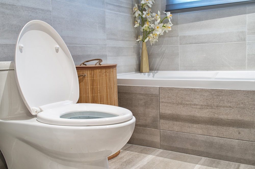 A White Toilet is Sitting in a Bathroom — Dawsons Cleaning Specialist in Mount Louisa, QLD