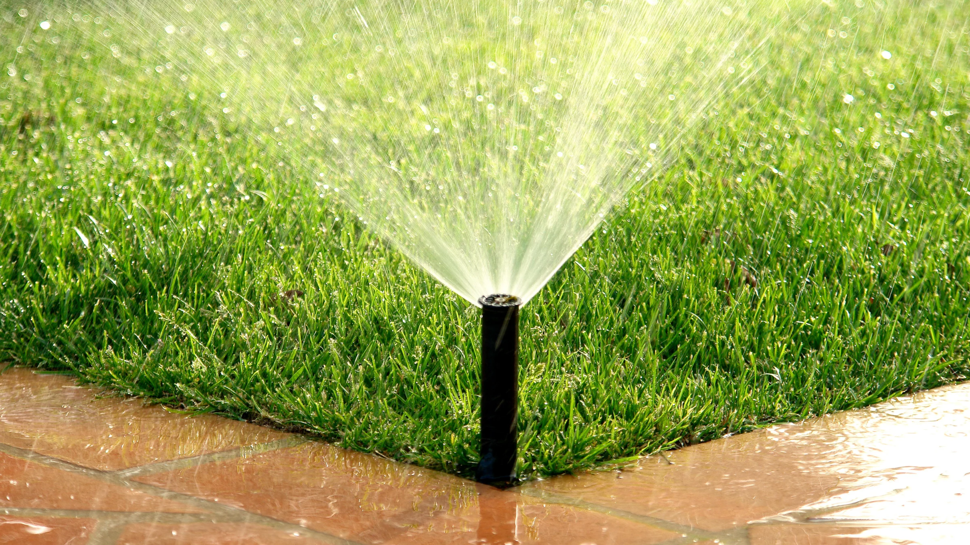 Green lawn grass maintained by underground sprinkler system in Chicago, IL