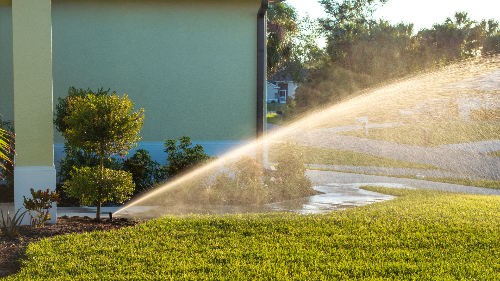 Green lawn grass maintained by underground sprinkler system in Chicago, IL
