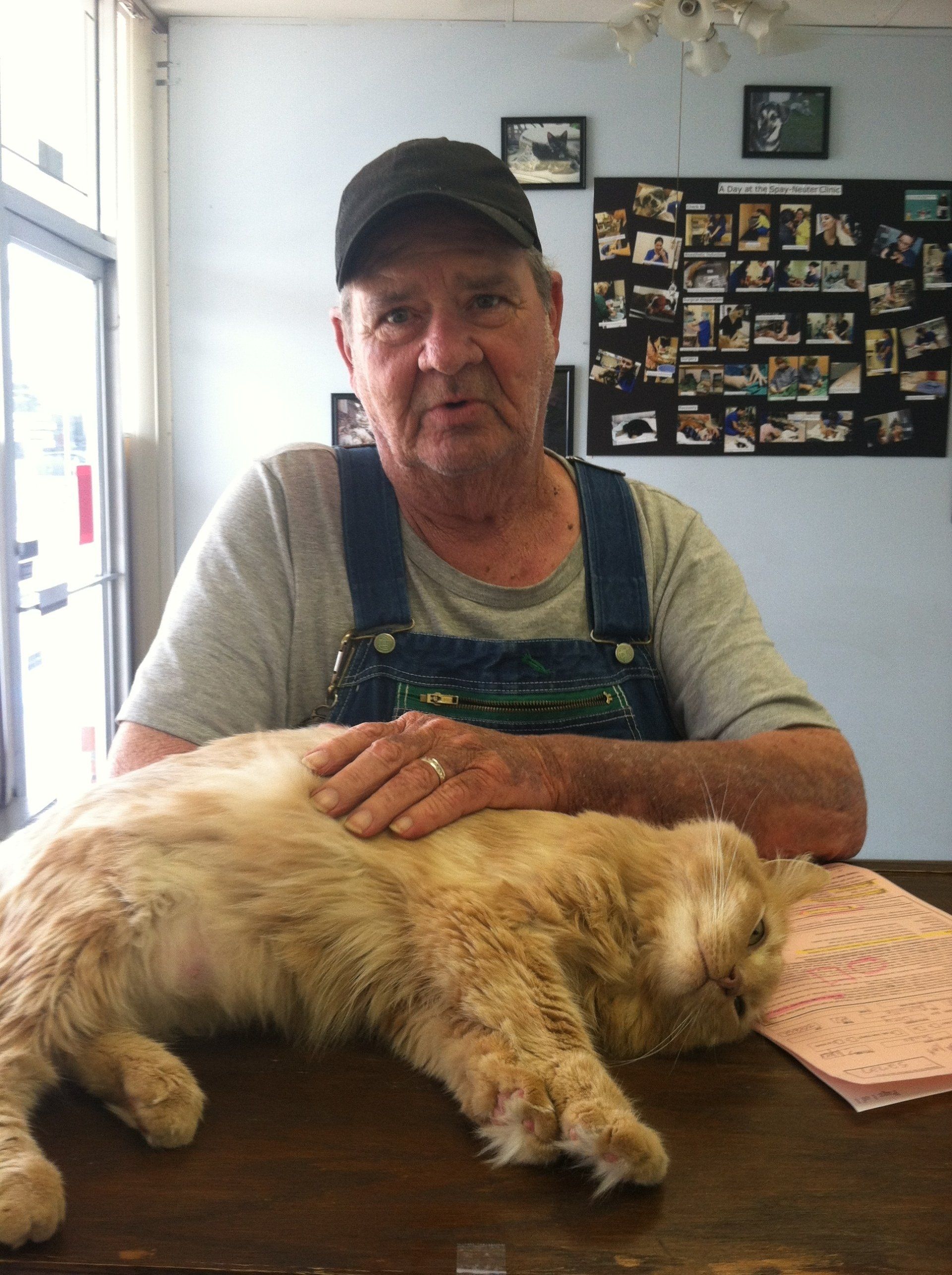A man in overalls is petting a cat on a table.
