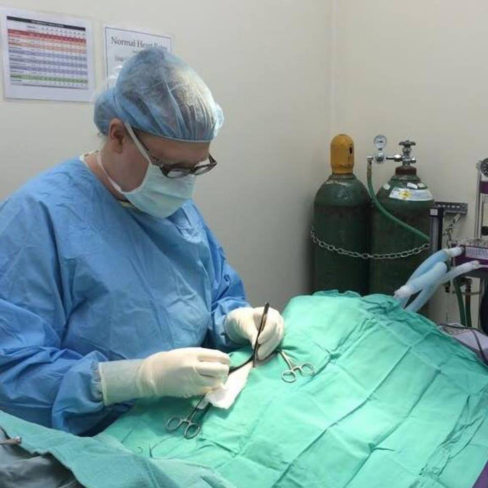 A surgeon is working on a patient in an operating room