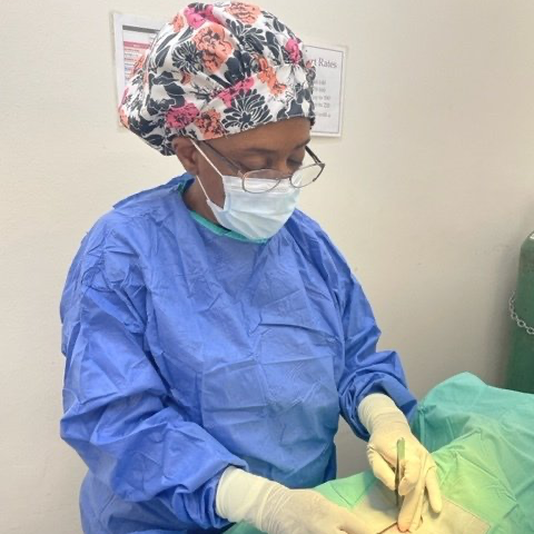 A vet surgeon wearing a mask and a floral hat is operating on a patient