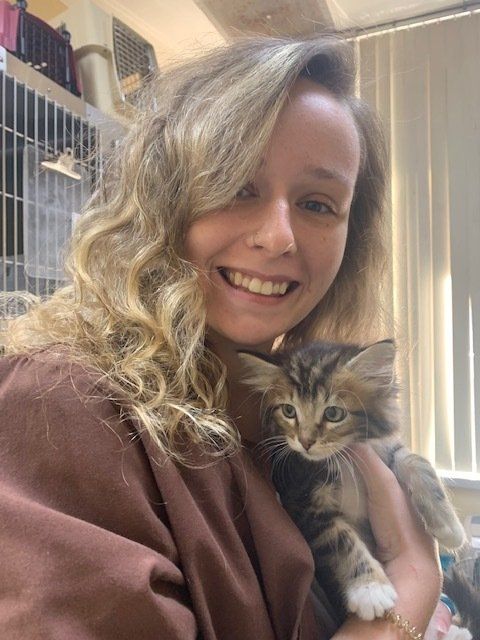 Alabama Animal Alliance, Inc Fees & Services