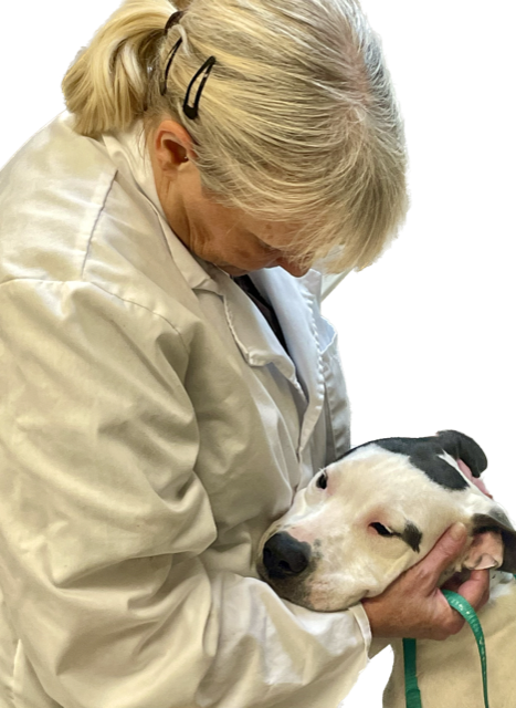 A woman in a lab coat is petting a dog