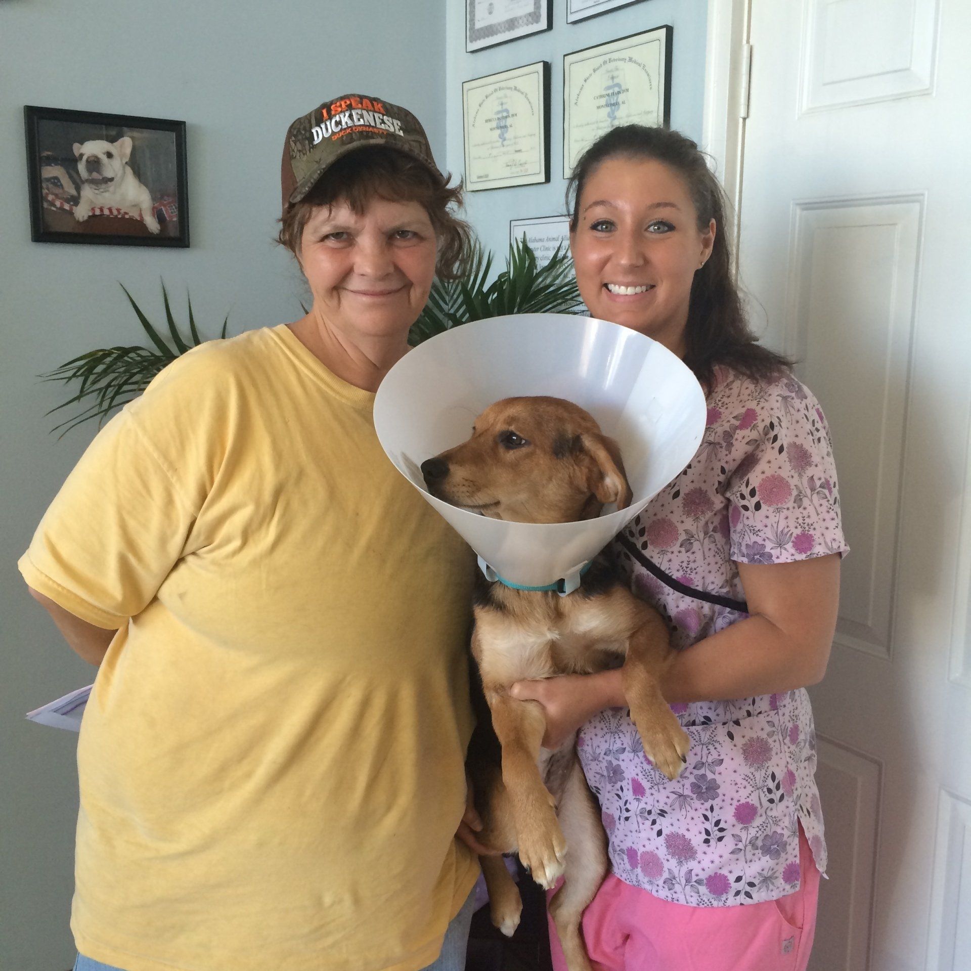 Two women holding a dog with a cone around its neck