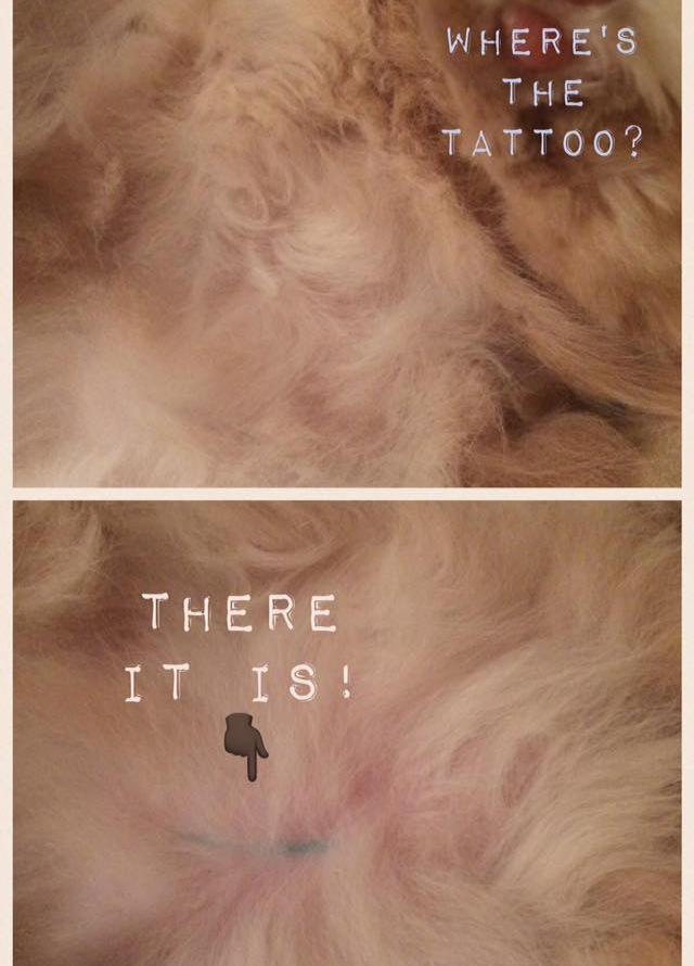 there it is