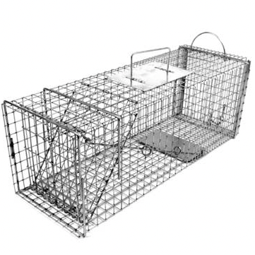 This is a humane trap. All feral cats must come in a trap similar to this.