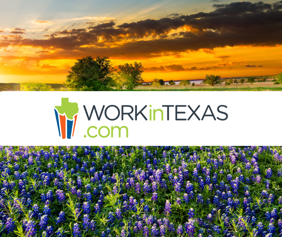 Sunset over Texas landscape with bluebonnets and