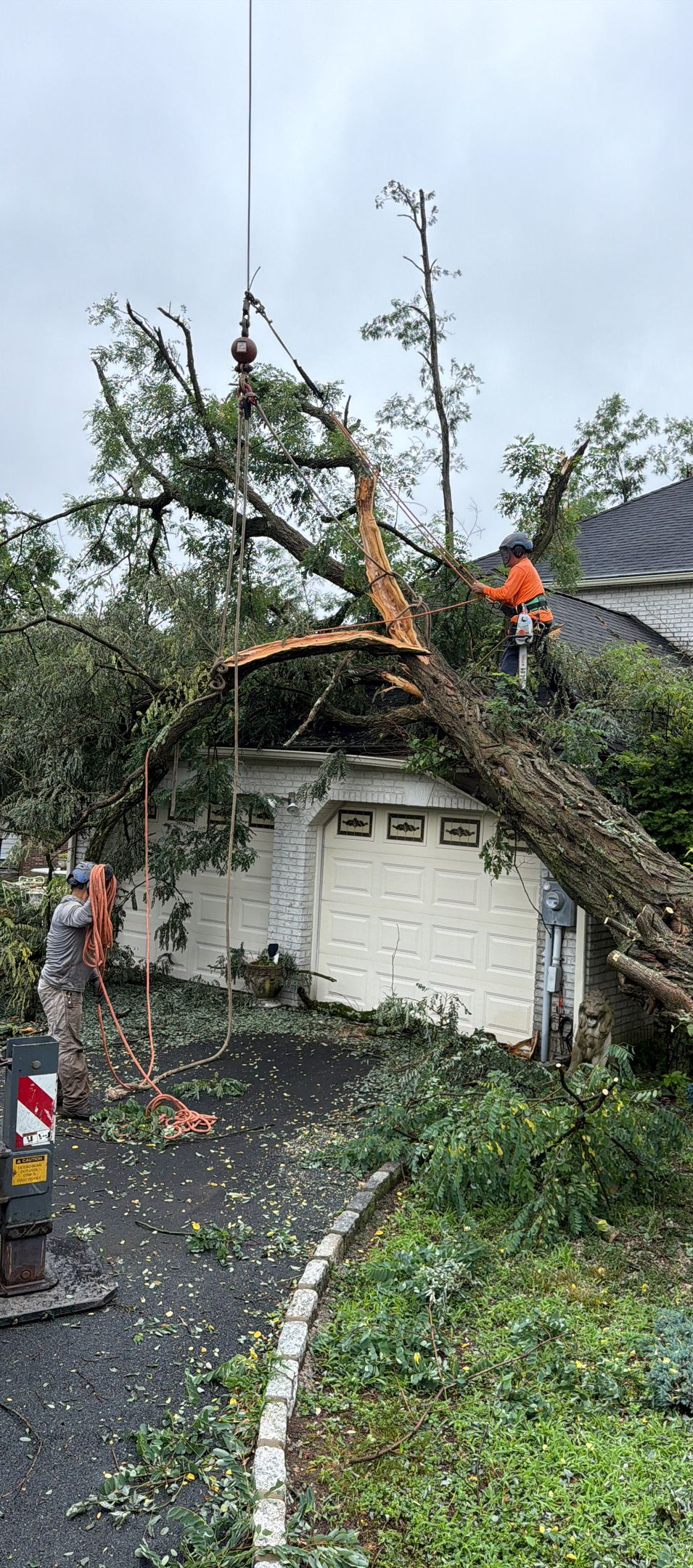 Fallen tree across a yard, damaged roof, and storm debris on a wet roadside