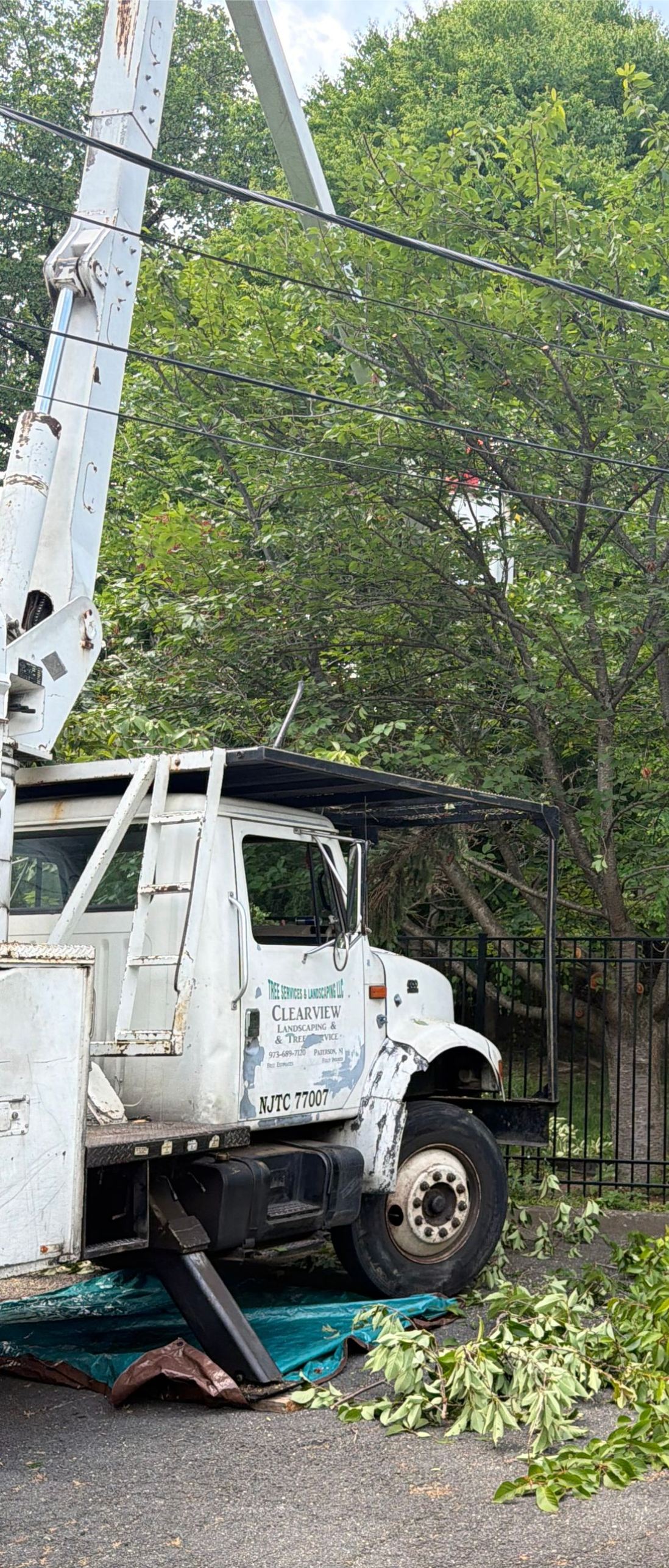 White utility truck crashed into a utility pole, with debris and fallen branches on the roadside.