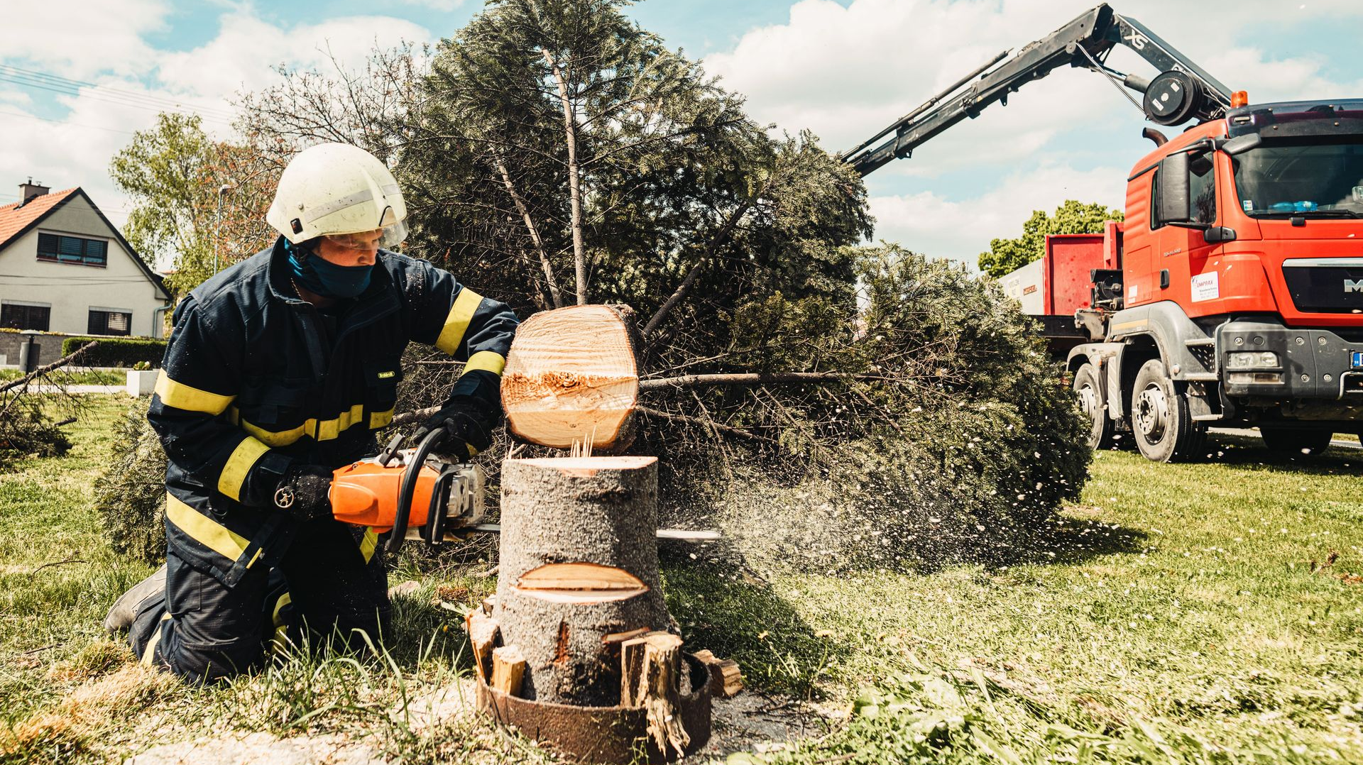 Chainsaw worker cutting a tree stump while a wood chipper sprays debris in a yard