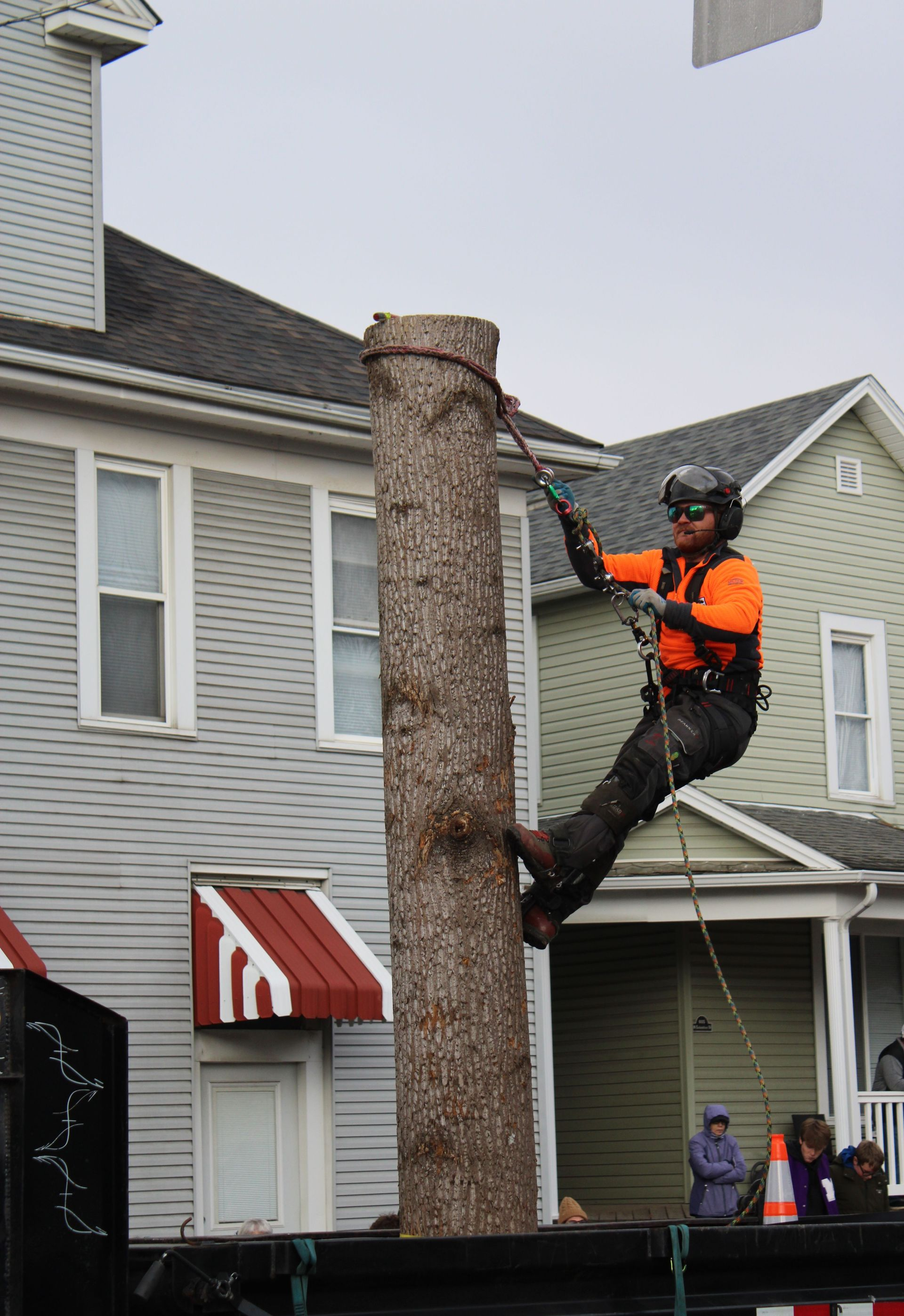 Worker in orange safety gear climbing a tall tree trunk near a house, using a rope saw.