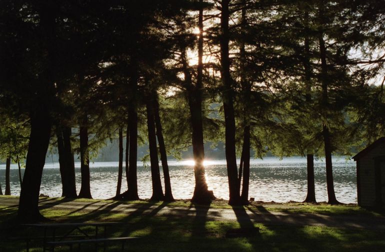 The sun is shining through the trees over a lake