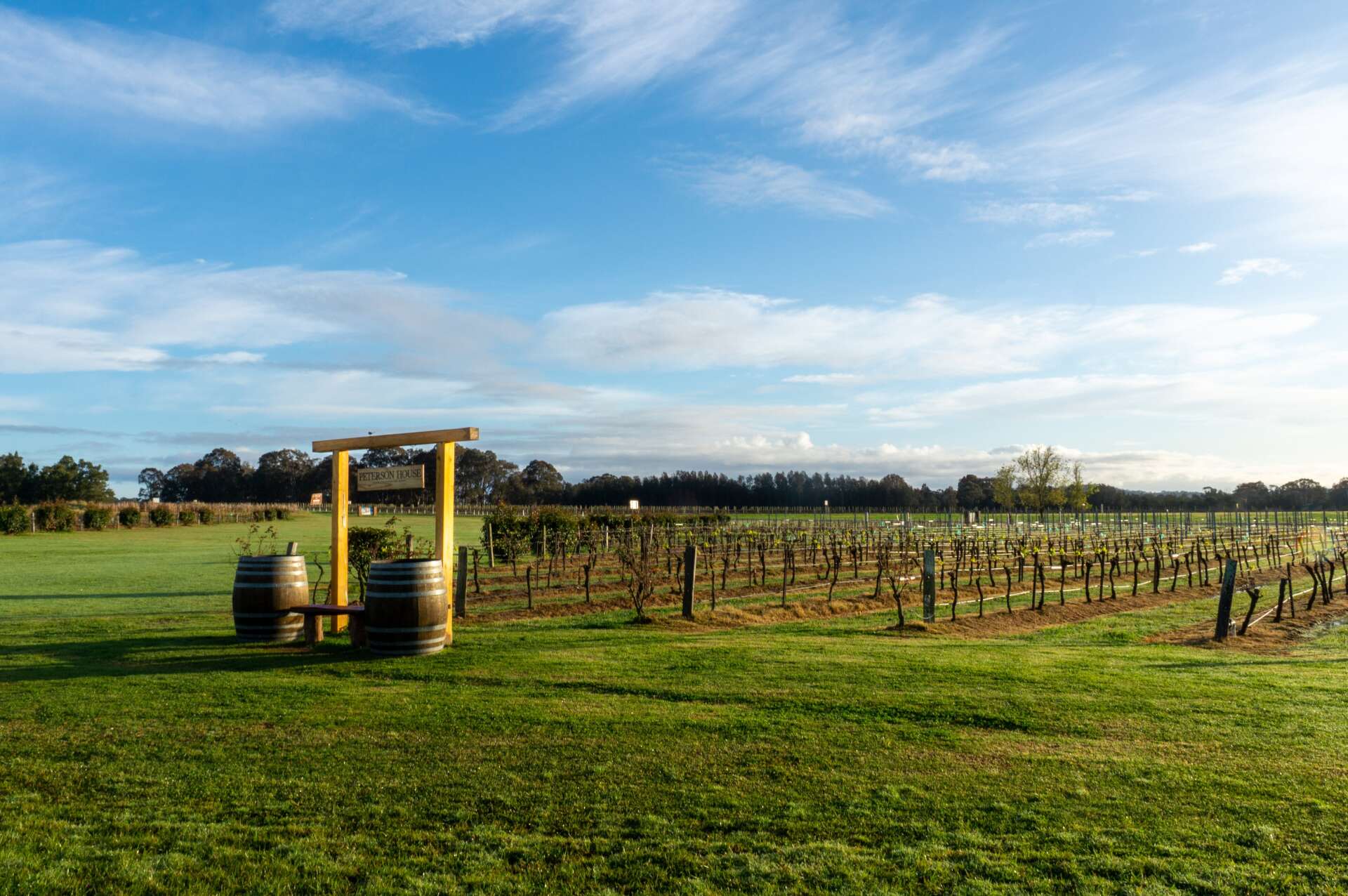 Nobella Photography Peterson House Winery Photographs