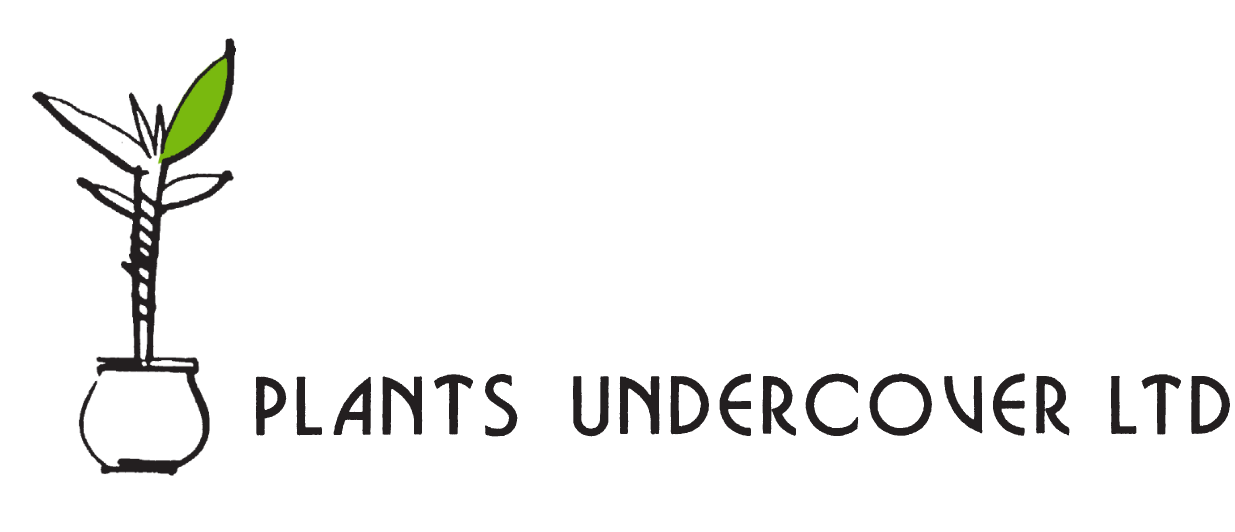 Indoor plants Wellington Plants Undercover